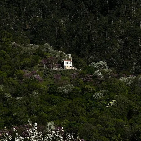 Mountain Serenity Konitsa Extérieur photo